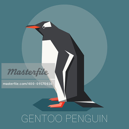 Vector image of the square-angled Flat gentoo penguin