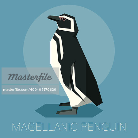 Vector image of the square-angled Flat Magellanic Penguin