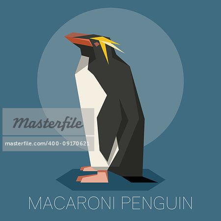 Vector image of the square-angled Flat Macaroni penguin