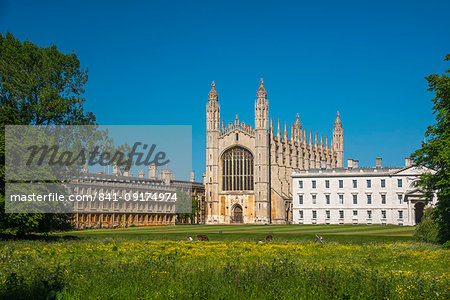 The Backs, King's College, King's College Chapel, Cambridge, Cambridgeshire, England, United Kingdom, Europe