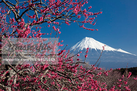 Mount Fuji from Shizuoka Prefecture, Japan