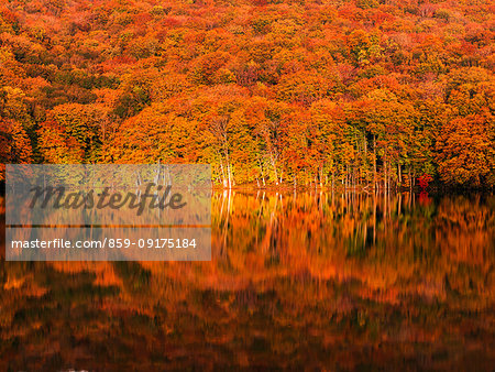 Aomori Prefecture, Japan