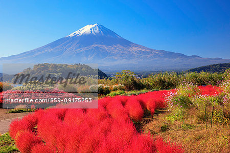 Mount Fuji from Yamanashi Prefecture, Japan