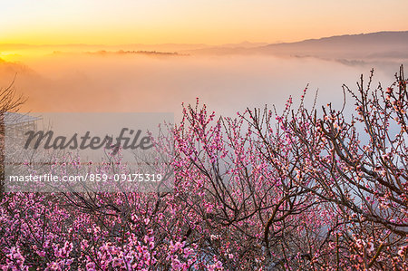 Nara Prefecture, Japan