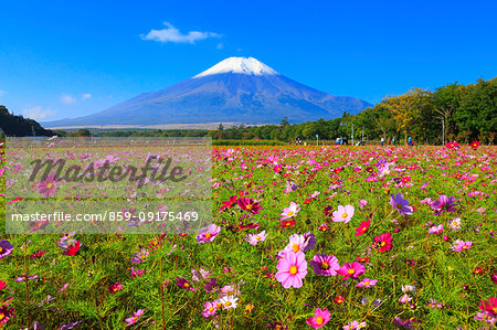 Mount Fuji from Yamanashi Prefecture, Japan