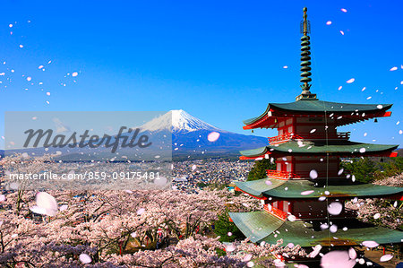 Mount Fuji from Yamanashi Prefecture, Japan