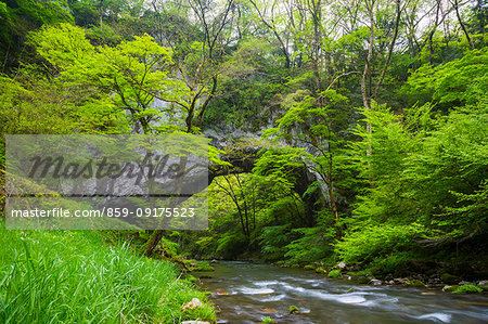 Hiroshima Prefecture, Japan