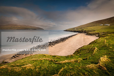 Grey Seal colony on Great Blasket beach, Blasket Islands, Ireland