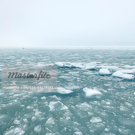 Sea ice on surface of sea