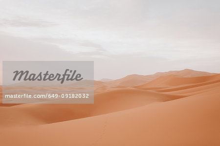 Desert, Douba, Morocco