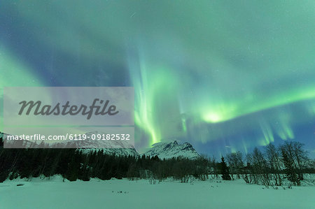 Northern Lights (Aurora borealis), Skoddebergvatnet, Grovfjord, Troms county, Lofoten Islands, Nordland, Norway, Europe