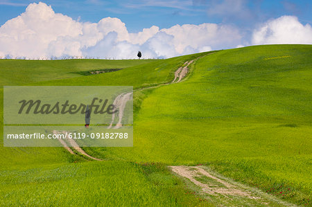 Green fields, Cypress trees and blue sky in Val d'Orcia, UNESCO World Heritage Site, Tuscany, Italy, Europe