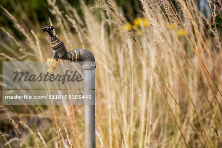 Close up of water tap with yellow plastic hose attachment in an allotment.