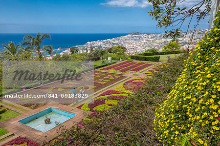 View of exotic flowers in the Botanical Gardens, Funchal, Madeira, Portugal, Atlantic, Europe View of exotic flowers in the Botanical Gardens, Funchal, Madeira, Portugal, Atlantic, Europe
