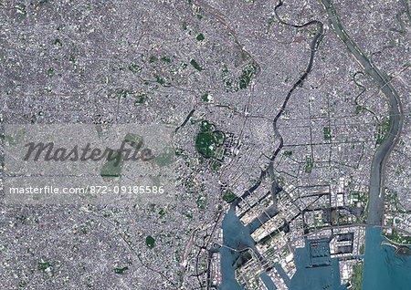 Color satellite image of Tokyo, capital city of Japan. Image collected on May 08, 2017 by Sentinel-2 satellites.