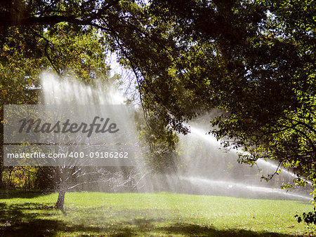 Rays of sunlight shine through a tree onto water from a sprinkler, watering a lawn in Central Park, New York City