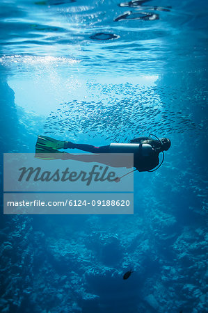 Young woman scuba diving underwater among school of fish, Vava'u, Tonga, Pacific Ocean