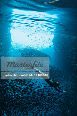 Young woman snorkeling underwater among schools of fish, Vava'u, Tonga, Pacific Ocean