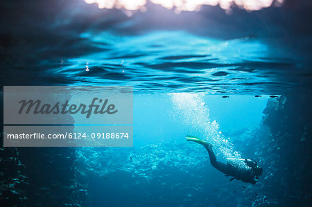 Woman scuba diving underwater, Vava'u, Tonga, Pacific Ocean