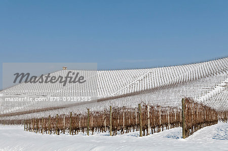 Langhe, Cuneo district, Piedmont, Italy. Langhe wine region winter snow, Fontanafredda