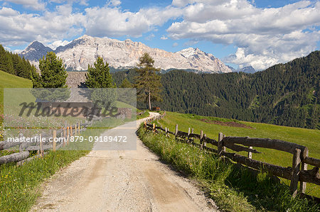 Longiarù, San Martino in Badia, Badia Valley, Dolomites, Bolzano province, South Tyrol, Italy. A footpath with Sasso della Croce in the background.