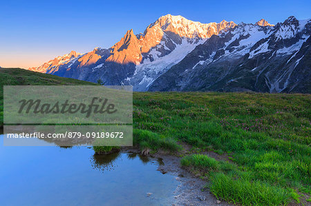 Water puddle with a view of Mont Blanc at dawn. Mont de la Saxe, Ferret Valley, Courmayeur, Aosta Valley, Italy, Europe