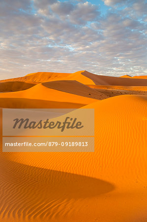 Sossusvlei sand dunes at sunrise,Namib Naukluft national park,Namibia,Africa