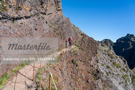 Hiker walking on the trail from Pico Ruivo to Pico do Areeiro. Funchal, Madeira region, Portugal.