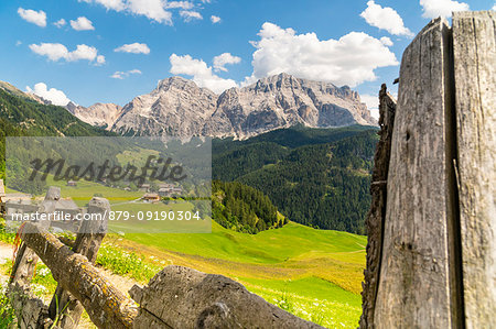 The green meadows during summer at La Val in Dolomites. Badia valley, Trentino Alto Adige, Italy