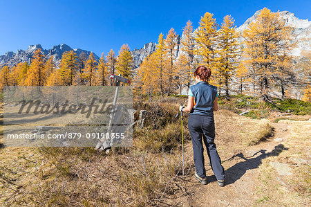 A girl is watching a sing near the Nero Lake in the Alpe Veglia and Alpe Devero Natural Park (Buscagna Valley, Alpe Devero, Baceno, Verbano Cusio Ossola province, Piedmont, Italy, Europe) (MR) A girl is watching a sing near the Nero Lake in the Alpe Veglia and Alpe Devero Natural Park (Buscagna Valley, Alpe Devero, Baceno, Verbano Cusio Ossola province, Piedmont, Italy, Europe) (MR)