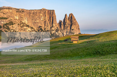 Alpe di Siusi/Seiser Alm, Dolomites, South Tyrol, Italy. Sunrise on the Alpe di Siusi/Seiser Alm. In the background the peaks of Euringer and Santner