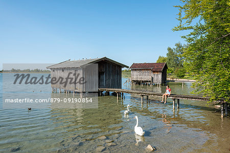 Kochel am See, Bad Tölz-Wolfratshausen district, Upper Bavaria, Germany, Europe. A girl looks at the swans