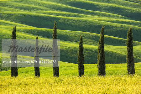 San Quirico d'Orcia,Val d'Orcia,Tuscany,Italy. San Quirico d'Orcia,Val d'Orcia,Tuscany,Italy.