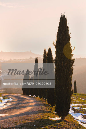 Orccia valley in winter season, Tuscany, Siena province, Italy, Europe.