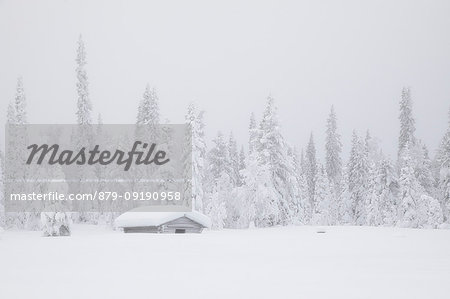 Isolated house in fields of ice and snow, Muonio, Lapland, Finland, Europe.