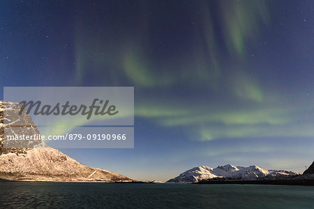 The Northern Lights and moon are reflected in the cold sea in the polar night Lyngen Alps Tromsø,Norway Europe