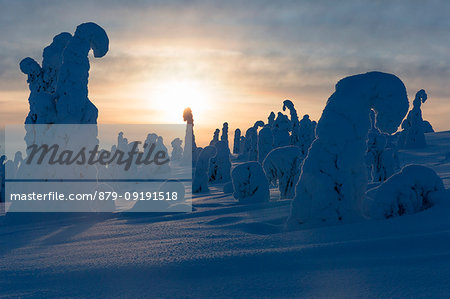 Typical ice sculptures in the woods of Riisitunturi national park, posio, lapland, finland, europe