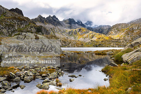 Nero lake in summer season at daylight Europe, Italy, Trentino, Nambrone valley, Madonna di Campiglio