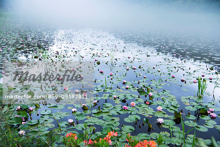 Hiroshima Prefecture, Japan Hiroshima Prefecture, Japan