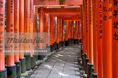 Red wooden Torii Gates at Fushimi Inari Shrine, Kyoto, Japan, Asia