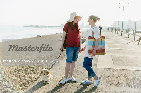 Lesbian couple with dog on sunny beach boardwalk