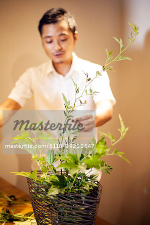 Japanese man standing in flower gallery, working on Ikebana arrangement.