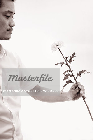 Japanese man working in a flower gallery, holding a flower.