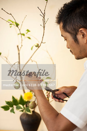 Japanese man working in a flower gallery, working on Ikebana arrangement, using secateurs.