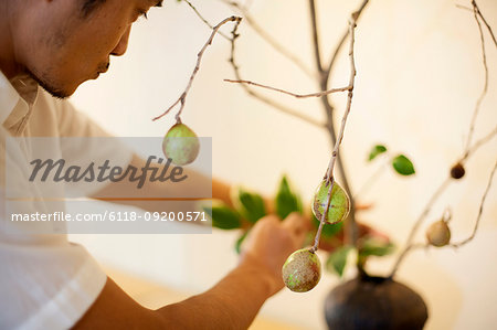 Japanese man working in a flower gallery, working on Ikebana arrangement.