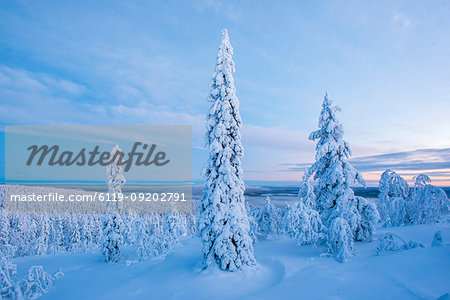 Snow covered winter landscape, Lapland, Pallas-Yllastunturi National Park, Lapland, Finland, Europe