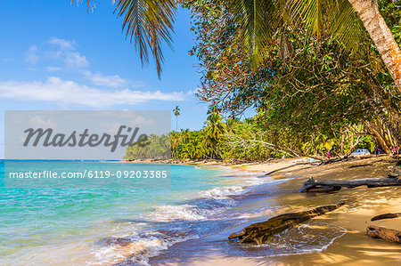 Punta Uva beach in Puerto Viejo, Limon, Costa Rica, Central America