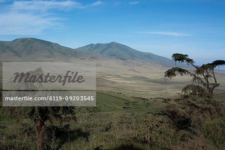 Ngorongoro Crater, UNESCO World Heritage Site, Ngorongoro Conservation Area, Serengeti, Tanzania, East Africa, Africa