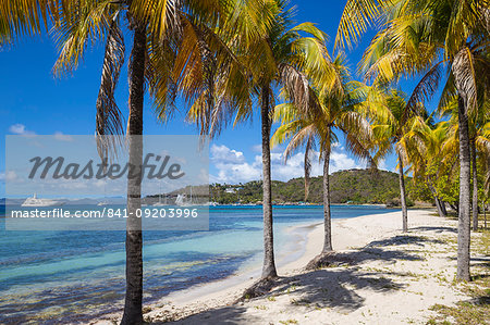 Brittania Bay beach, Mustique, The Grenadines, St. Vincent and The Grenadines, West Indies, Caribbean, Central America