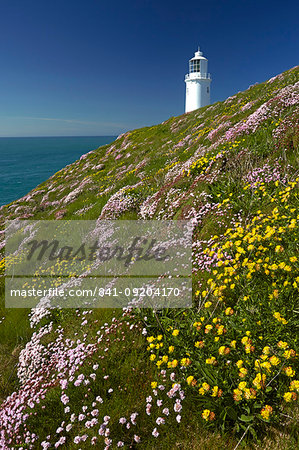 Thrift and kidney vetch growing on cliff tops near Trevose Head lighthouse on the north Cornish coast, Cornwall, England, United Kingdom, Europe